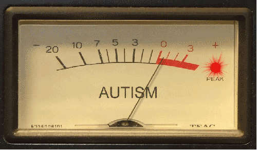 autism meter