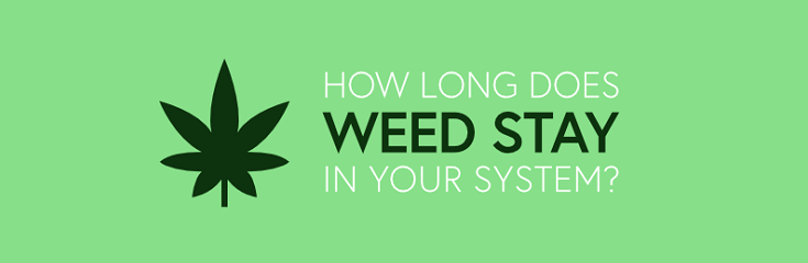 how long does weed stay in your system